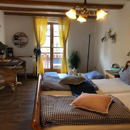 Ferienwohnung Sonne Шлинген Экстерьер фото